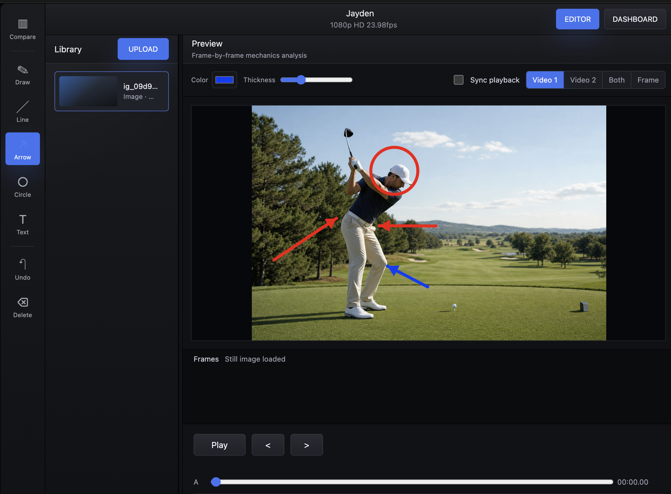 DiamondFrame golf technique review with annotations